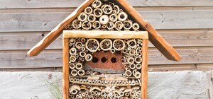 В Киеве появятся отели для насекомых