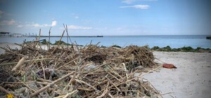 Последствия подрыва Каховской ГЭС в Одессе: какая соленость моря и есть ли там холера