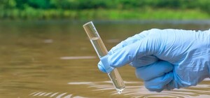 Свежий мониторинг воды в Одессе: что известно на 16 июля