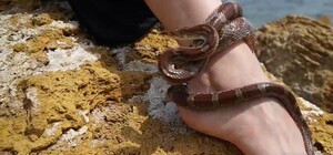 Директор одесского зоопарка выпустил новый клип: на этот раз про змей 