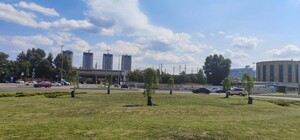 У Києві вперше застосували інноваційний спосіб для поливу дерев