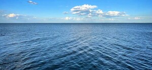 Свежий мониторинг воды в Одессе: что известно на 19 июля