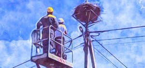 Получи ответ: куда сообщать об обнаруженных гнездах аистов на электроопорах в Одесской области