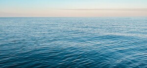 Получи ответ: безопасна ли морская вода на пляжах в Одессе сейчас 