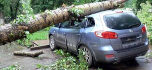 Одессит отсудил у городского совета более 450 тысяч гривен за поврежденное упавшим деревом авто