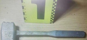 Украл черепаху и сварил из нее суп: одессита подозревают в жестоком обращении с животным