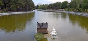 Одну из аллей парка Победы в Одессе назовут в честь СБУ: подробности