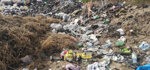 В Одесской области обнаружилии масштабную нелегальную свалку 