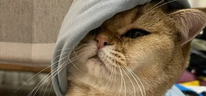 Какая будет погода на следующей неделе в Днепре: прогноз погоды