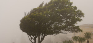 В Киеве объявили 1 уровень опасности: что известно