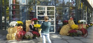 Вітрини одеських магазинів та кафе прикрасили місто до Хеллоуїна (фото)