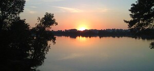 В крупнейшем озере в Киеве вымерла рыба