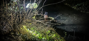 У Дрогобичі з водойми витягнули чоловіка