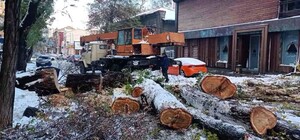 Негода в Одеській області: яка ситуація на ранок 28 листопада