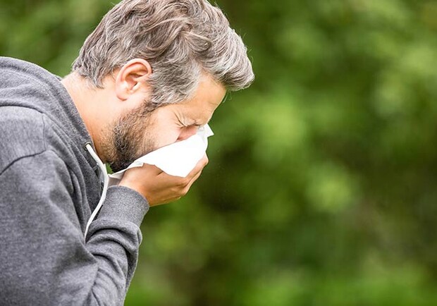 Аллергия: как облегчить жизнь в период повышенной чувствительности - фото