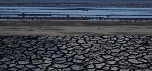 Запорожский ученый объяснил, почему не нужно снова затапливать осушенное Каховское водохранилище