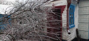 В Межевской общине на дом 83-летней женщины упало обледеневшее дерево