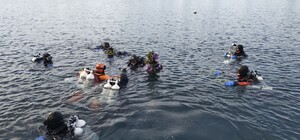 Новогодняя елка под водой: где погрузили зеленое дерево