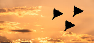 Сколько беспилотников сбили наши защитники этой ночью в Днепропетровской области