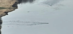 Получи ответ: что будет, если поймают мужчину, который 