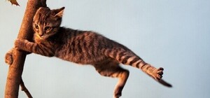 Перепаркуйте авто: в Запорожье объявили штормовое предупреждение