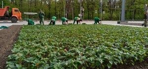 На Мемориале Славы в Харькове высадят 25 тысяч цветов