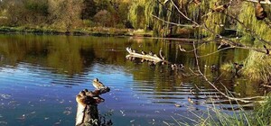 В озері у Львові знайшли труп