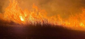 У повітрі понад 11 тисяч тонн СО2: екологи розповіли про наслідки смороду в Одесі