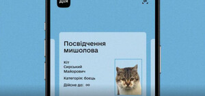 В Україні введуть електронні ветеринарні паспорти для домашніх тварин