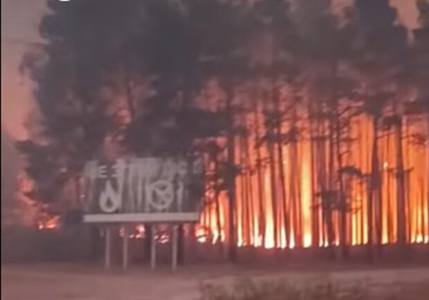 В Ізюмському районі масштабна пожежа — горять понад 1000 гектарів лісу. 