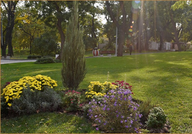 Майстер-клас з танців та Опен-ейр Live at Botanіс за прибирання: куди піти в Одесі на наступних вихідних безкоштовно