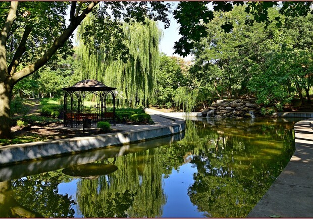 Лекція про Дмитра Павличка та мітинг біля 