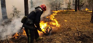 В Харьковской области бушуют пожары: в чем причина