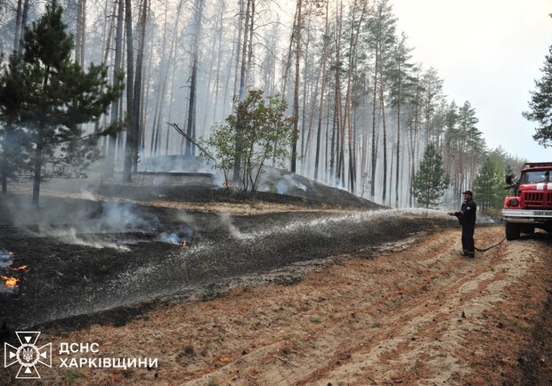 На Харківщині пожежі за тиждень знищили близько 2300 гектарів. 