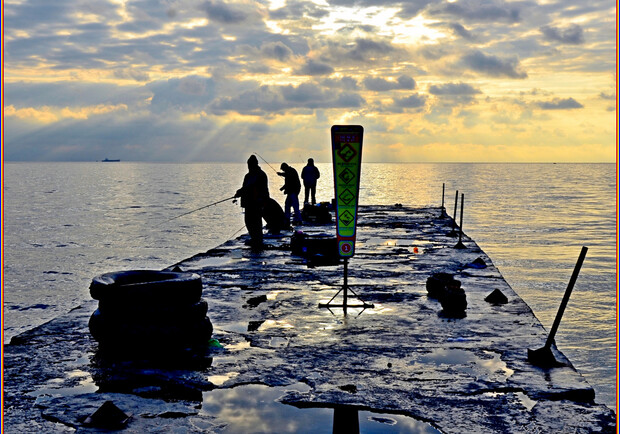 MoreСобакFest та презентація книги 