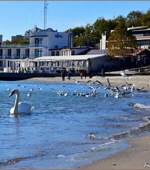Концерт ADAM и стендап на троих: куда пойти в Одессе в эти выходные