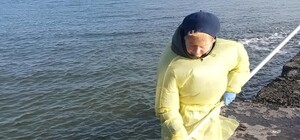 Забруднення моря внаслідок аварії танкерів РФ: результати перевірки води біля узбережжя Одещини