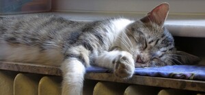 Часть Одессы два дня будет без тепла: адреса