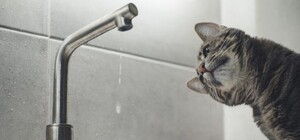 Некоторые жители Одессы почти на сутки остались без воды: адреса