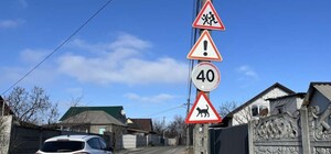 Осторожно, кот: в Днепре установили необычный дорожный знак