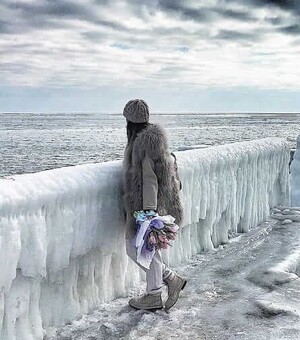 Концерты Freedom Jazz и 