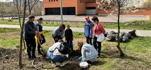 Весняна толока у Львові 2025: як долучитися 