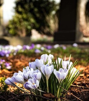 Коли у 2025 році поминальні суботи: дати, традиції та поради для вірян