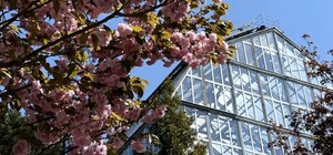 Львівський ботсад запрошує на екскурсії: графік роботи і ціни