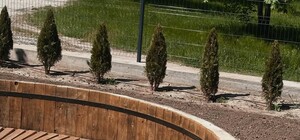 В Запорожье строят новый бассейн: где именно и когда открытие (видео)