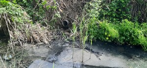 В Одесі виявили скиди каналізації в Чорноморську балку