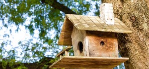 У Дублянах під час викидання сміття спрацювала фотопастка 