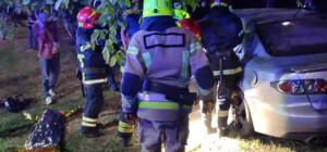 В Кривом Роге легковушка въехала в дерево: шестеро пострадавших, среди них ребенок