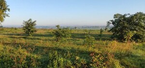 У Львівській громаді з аукціону продали 8 земельних ділянок