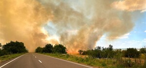 Масштабный пожар в Одесской области привел к усложнению движения: что горит